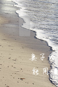 妻子的信用卡逾期了(妻子的信用卡逾期了還能用嗎)