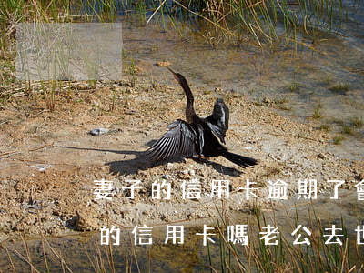 妻子的信用卡逾期了會(huì)影響丈夫的信用卡嗎（老公去世信用卡逾期老婆用還嗎）