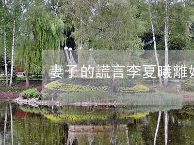 妻子的謊言李夏曦離婚