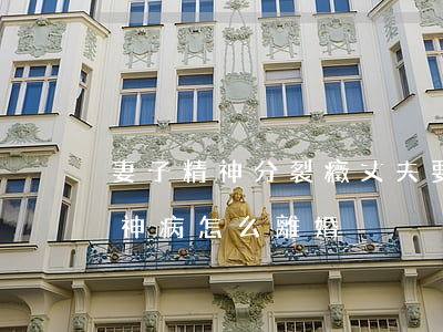 妻子精神分裂癥丈夫要離婚怎么辦(媳婦有精神病怎么離婚)