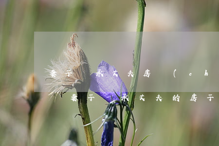 妻子繼承丈夫房產(chǎn)繼承要交稅嗎(妻子繼承丈夫的房子出買怎么繳納稅)