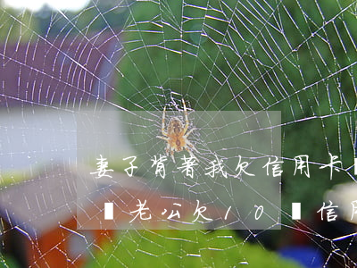 妻子背著我欠信用卡網(wǎng)貸十幾萬(老公欠10萬信用卡離婚)