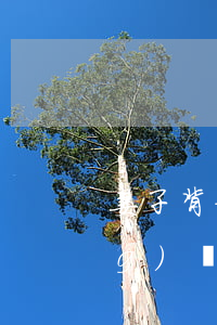 妻子背著我欠幾十萬(wàn)網(wǎng)貸該離婚嗎-妻子背著我欠幾十萬(wàn)網(wǎng)貸該離婚嗎知乎