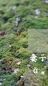 妻子能追回給小三的財(cái)產(chǎn)嗎(什么情況下可以追回給小三的財(cái)產(chǎn))