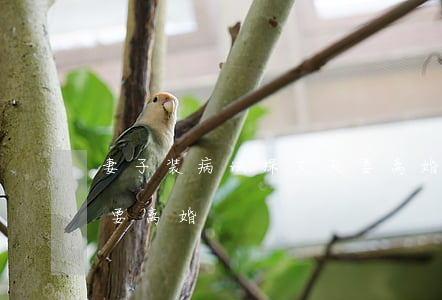 妻子装病试探丈夫要离婚(妻子装病试探丈夫要离婚)