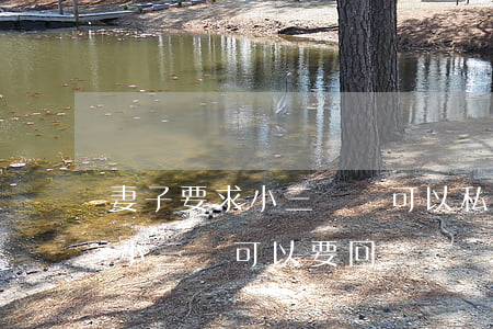 妻子要求小三還錢可以私了嗎(老公承認了給小三錢可以要回嗎)
