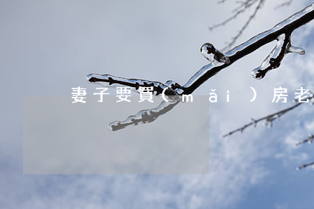 妻子要買(mǎi)房老公推脫離婚