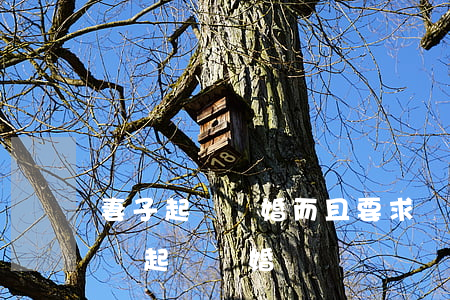 妻子起訴離婚而且要求凈身出戶(自己凈身出戶起訴離婚)