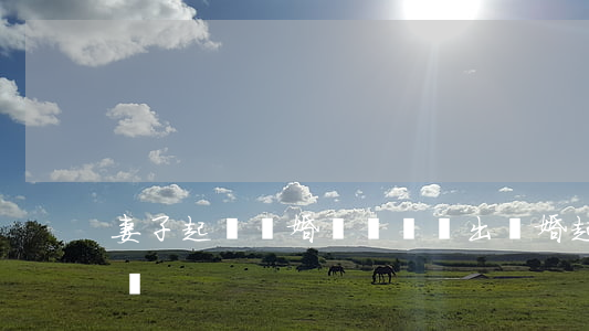 妻子起訴離婚訴訟費誰出(離婚起訴費誰來承擔)