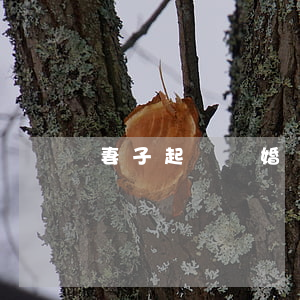 妻子起訴離婚說男方家暴怎么辦
