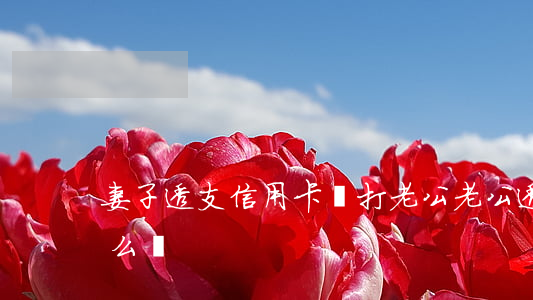 妻子透支信用卡還打老公(老公透支信用卡怎么辦)