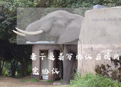 妻子逼着写协议后提出离婚(丈夫含泪离婚签完协议)