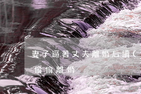 妻子逼著丈夫離婚后續(xù)(女子和丈夫偷偷離婚)