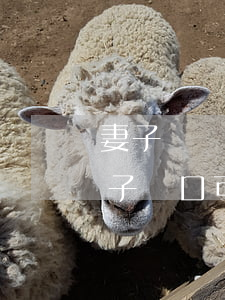 妻子還沒離婚她可以把戶口遷走嗎(離婚后妻子戶口可以不遷走嗎)