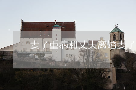 妻子重病和丈夫离婚(妻子重病和丈夫离婚)