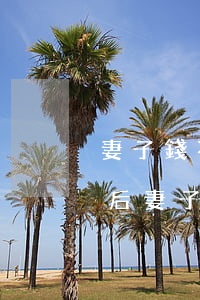 妻子錢不拿出來丈夫要離婚(丈夫借的錢離婚后妻子有義務(wù)還嗎)