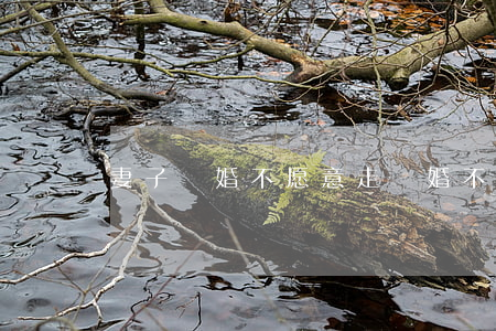 妻子離婚不愿意走(離婚不離妻)