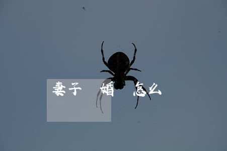 妻子離婚該怎么辦
