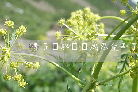 妻子鬧脾氣離婚(忍受不了妻子的脾氣想離婚)