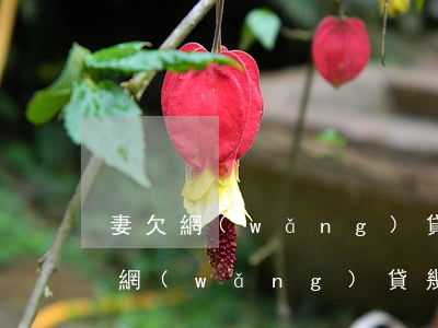 妻欠網(wǎng)貸幾萬被騙該離婚(妻欠網(wǎng)貸幾萬被騙該離婚)