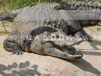 姐夫出軌離婚怎么分(女的出軌怎么離婚)