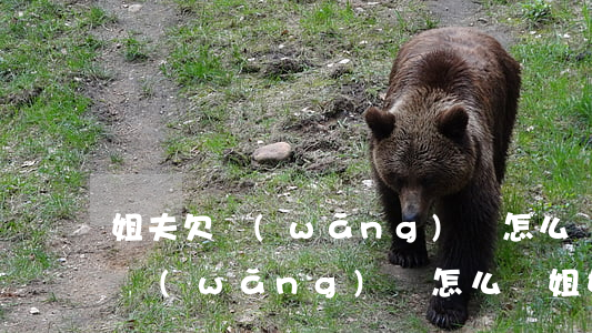 姐夫欠網(wǎng)貸怎么勸姐姐(姐夫欠網(wǎng)貸怎么勸姐姐)