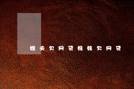 姐夫欠网贷(妹妹欠网贷)