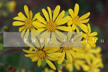姐妹逾期還不上會(huì)影響小孩子嗎-