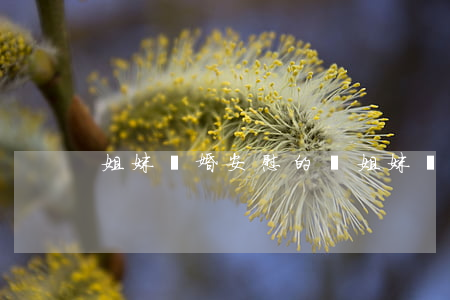 姐妹離婚安慰的話(姐妹離婚了怎么安慰說說)