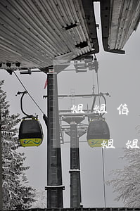 姐姐信用卡逾期影響弟弟政審嗎(弟弟犯法影響姐姐政審嗎)