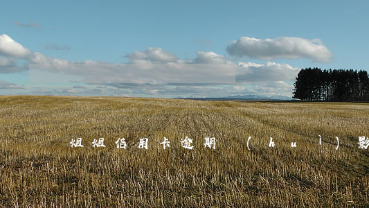姐姐信用卡逾期會(huì)影響妹妹政審嗎