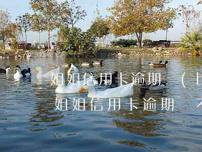 姐姐信用卡逾期會(huì)影響弟弟嗎(親姐姐信用卡逾期還不上會(huì)影響我的卡片嗎)