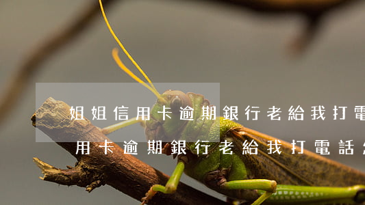 姐姐信用卡逾期銀行老給我打電話-姐姐信用卡逾期銀行老給我打電話怎么辦