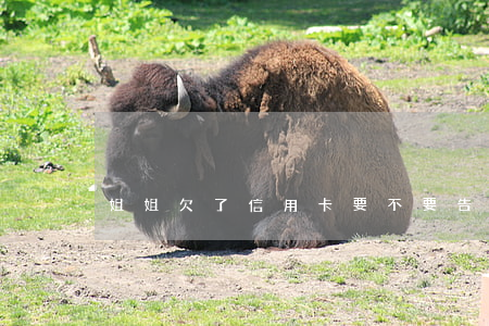 姐姐欠了信用卡要不要告诉父母