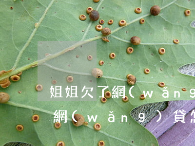 姐姐欠了網(wǎng)貸怎么辦(弟弟欠了網(wǎng)貸怎么辦)