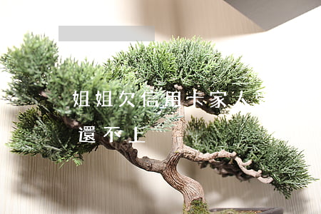 姐姐欠信用卡 家人受牽連（姐姐的信用卡逾期還不上）