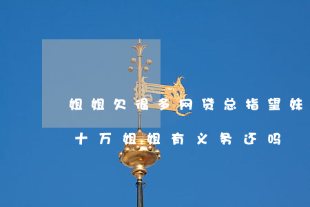 姐姐欠很多网贷总指望妹妹还(妹妹欠网贷几十万姐姐有义务还吗)