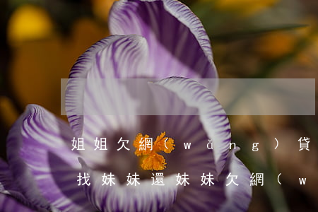姐姐欠網(wǎng)貸五十萬(wàn)找妹妹還(妹妹欠網(wǎng)貸要幫她還嗎)