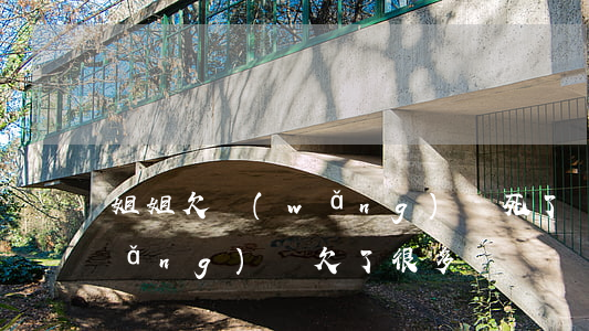 姐姐欠網(wǎng)貸死了(親姐姐網(wǎng)貸欠了很多錢)