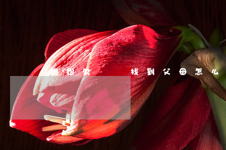 姐姐欠網貸找到父母怎么辦(弟弟欠網貸怎么辦)