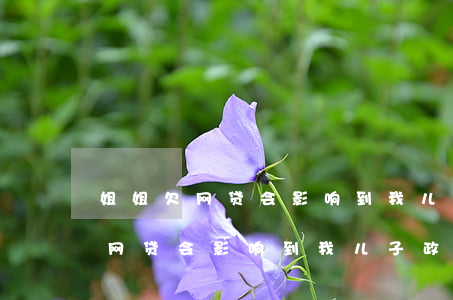 姐姐欠网贷会影响到我儿子政审吗-姐姐欠网贷会影响到我儿子政审吗知乎
