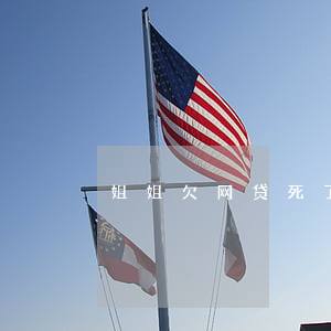 姐姐欠网贷死了(亲姐姐网贷欠了很多钱)