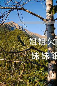 姐姐欠銀行錢(qián)會(huì)扣妹妹銀行卡錢(qián)嗎-姐姐欠銀行錢(qián)會(huì)扣妹妹銀行卡錢(qián)嗎怎么辦