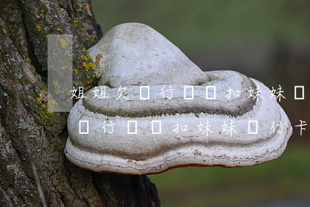 姐姐欠銀行錢會扣妹妹銀行卡錢嗎-姐姐欠銀行錢會扣妹妹銀行卡錢嗎怎么辦