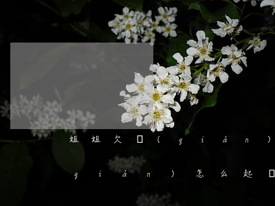 姐姐欠錢(qián)怎么起訴(姐姐欠錢(qián)怎么起訴妹妹)