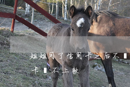姐姐用了信用卡之后不還款(親戚用我的信用卡還不上款)