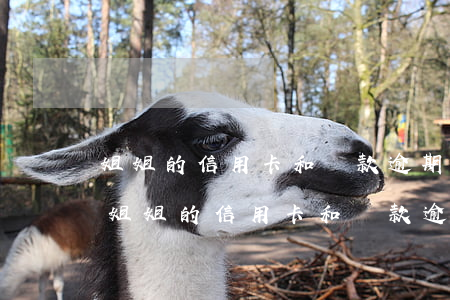 姐姐的信用卡和貸款逾期對妹妹有影響嗎-姐姐的信用卡和貸款逾期對妹妹有影響嗎