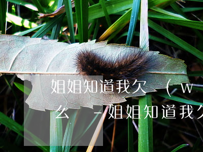 姐姐知道我欠網(wǎng)貸了不幫忙怎么辦-姐姐知道我欠網(wǎng)貸了不幫忙怎么辦呢