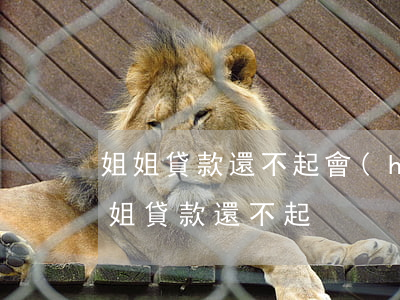 姐姐貸款還不起,會(huì)讓家人還嗎（姐姐貸款還不起）
