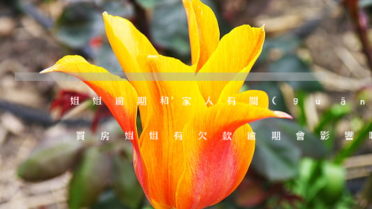 姐姐逾期和家人有關(guān)系嗎（弟弟買房姐姐有欠款逾期會影響嗎）